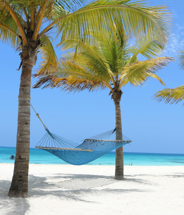 Zanzibar Beach Experience