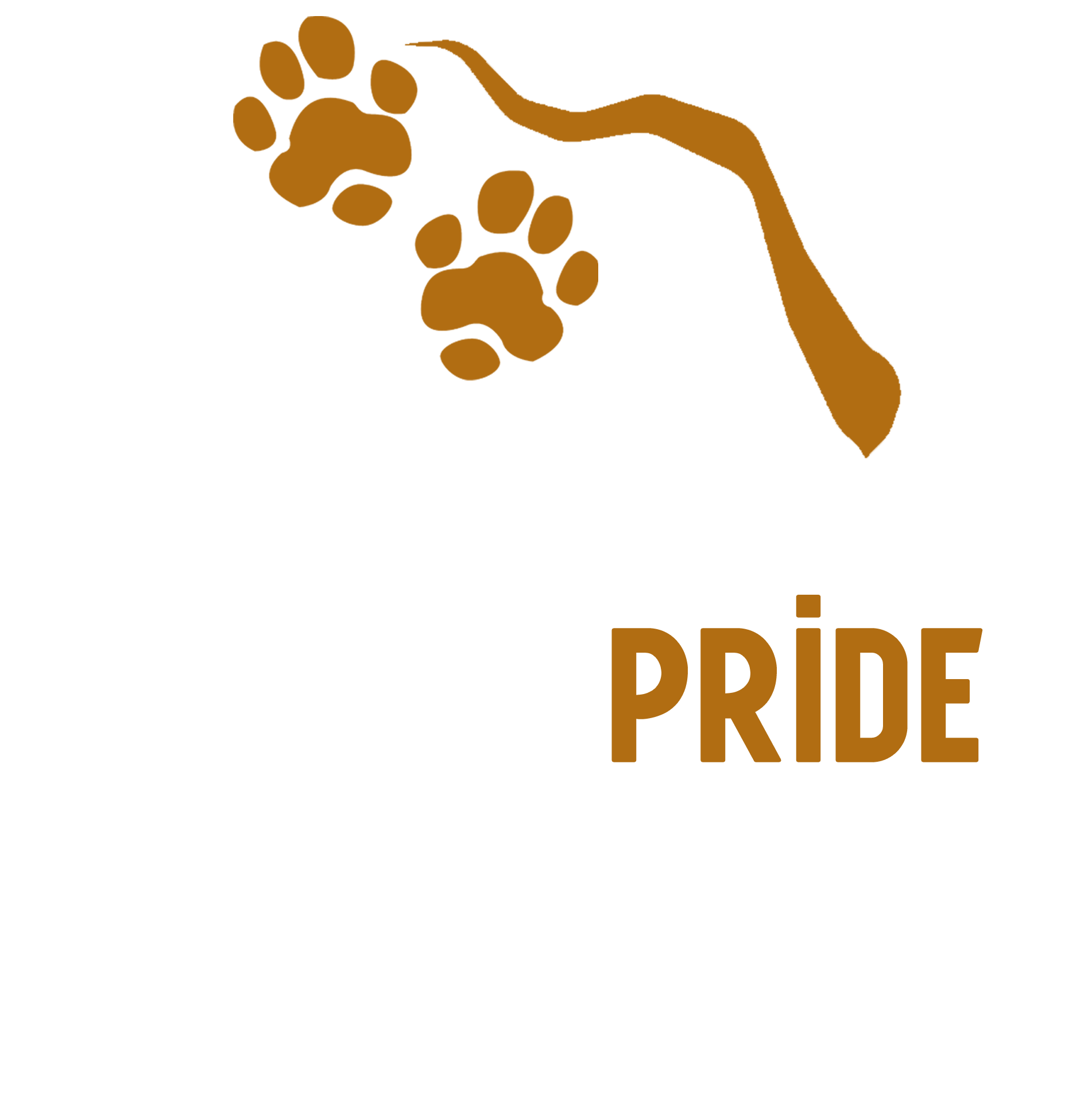 Eco Pride Africa Logo
